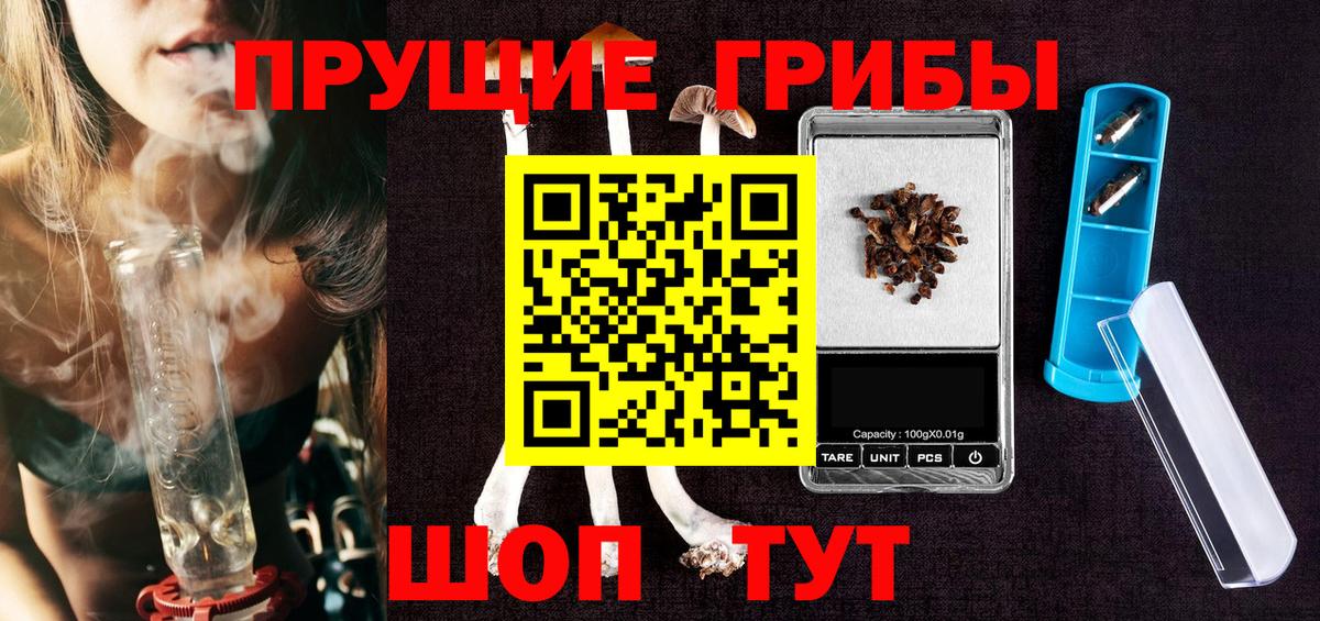 Галлюциногенные грибы Psilocybine cubensis Усинск