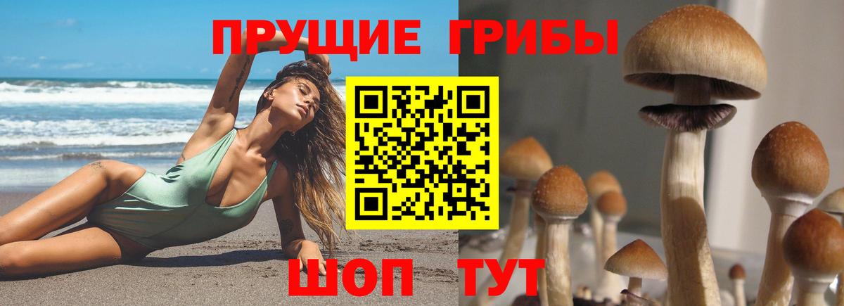 даркнет сайт  Вход с VPN  Усинск  Галлюциногенные грибы прущие грибы 